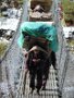 Nepal 2011-2012 Jiri-Everest 288